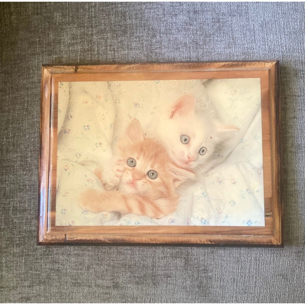 Vintage Wooden Wall Plaque Kittens Cat Photography Art 8x6 Cottagecore